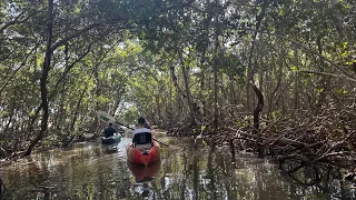 Kayaking In Lido Key Beach Florida ￼