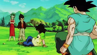 Dragonball z goku teases bulma about her age