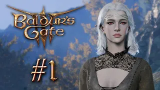 Baldur's Gate 3 Deutsch - Let's Play Drow - Baldurs Gate 3 Gameplay German - 2023 Blind PC