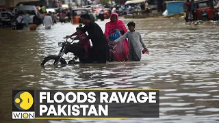 WION Climate Tracker: Pakistan struggles to cope with floods; 1000 dead, 45 million affected