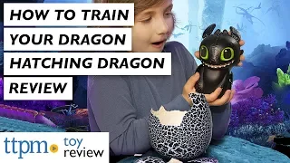 How to Train Your Dragon The Hidden World Hatching Dragon from Spin Master