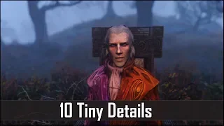 Skyrim: Yet Another 10 Tiny Details That You May Still Have Missed in The Elder Scrolls 5 (Part 31)