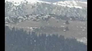 I SPOTTED BIGFOOT IN COLORADO ON GOOGLE EARTH!!!!!