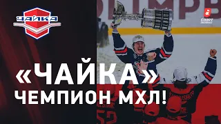 "ЧАЙКА" - ЧЕМПИОН! / как молодежка "Торпедо" праздновала победу / прыжки в бассейн