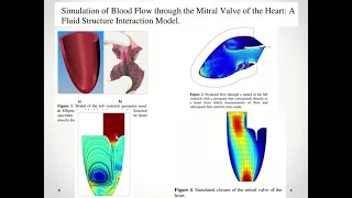 01 Intro to Bio-Computational Modeling