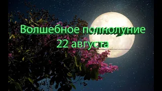 ПОЛНОЛУНИЕ 22 АВГУСТА 2021 ГОДА: САМЫЙ ЛУЧШИЙ ДЕНЬ МЕСЯЦА.