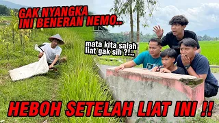 KAGET BUKAN MAIN !! Ternyata Nemo begini aslinya