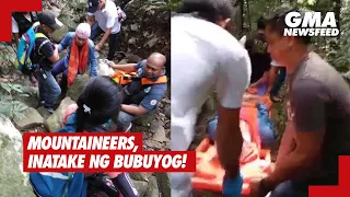 Mountaineers, inatake ng bubuyog! | GMA News Feed