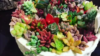 COMPACT SUCCULENT ARRANGEMENTS ( Can help prevent overwatering)