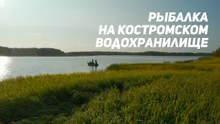 Рыбалка на Костромском водохранилище. Рыбий жЫр 2020