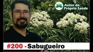 Autor da Própria Saúde - Sabugueiro [Gripe, diabetes, piolhos, antibiótico, depressão]