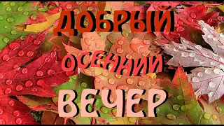 Добрый Осенний Вечер!  Душевное Пожелание! Доброго Вечера и Спокойной Ночи! Открытка!