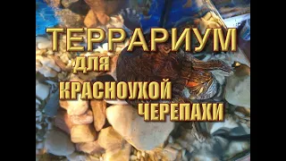 Террариум для красноухой черепахи