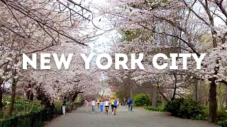 New York 4K Spring Walk in Central Park 2023 | Manhattan Walking Tour