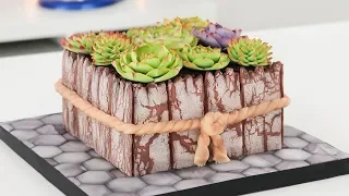 How to make a Succulents Cake and Crackled Fondant - Tan Dulce