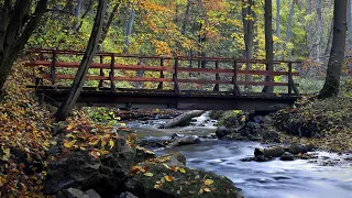 Native American Flute Music And Sounds Of Nature - Nurture The Soul, Profound Connection Inner Peace