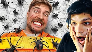 100 SPIDERS vs MAN (scary challenge)