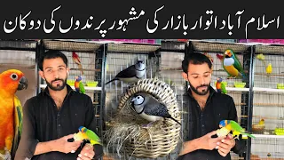 Itwar Bazar Islamabad | Islamabad Landa Bazar | Love Birds,Albino Red Eyes,Par Blue,Decino|Islamabad