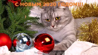 С Новым годом!!! Подборка новогодних песен.