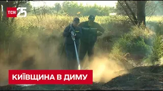 🔥 На Київщині горять торф'яники: що кажуть рятувальники