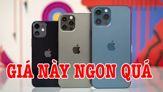 Tư vấn điện thoại iPhone 12 Pro Max giá này thì ngon quá còn gì?