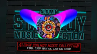 Nonstop disco remix vol3 : aldwin Sialmoy music collection ( dj Vincent)