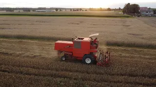 🔥POLSKIE ŻNIWA 2023🔥BIZON I JOHN DEERE W AKCJI🔥CIĘŻKI ROK DLA ROLNICTWA🔥kuba6400🔥