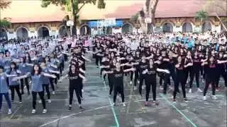 Marie Curie Flashmob 2015