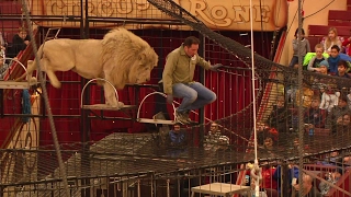 Circus Krone-Dompteur Lacey hält Schulstunde