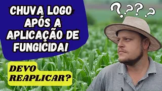 CHUVAS LOGO APÓS APLICAÇÃO DE FUNGICIDA - Devo reaplicar? Perdi o produto?