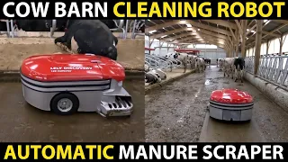 Cow dung Cleaning Robot | Cow Shed Cleaner Machine | Dairy Far | Manure Scraper