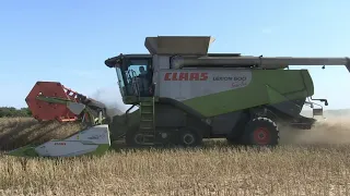 CLAAS LEXION 600 TERRA TRAC AND 40FT HEADER HARVESTING OILSEED RAPE