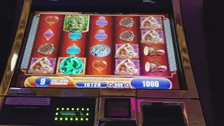 King of Africa super bonus win max bet