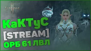 [Lineage 2M] Орб 61 лвл | Барц 1 | KaKTyC - Пати Данжи, Фарм ЛОА6