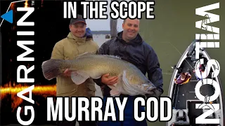 IN THE SCOPE - MURRAY COD