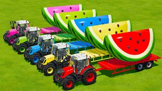 LOAD & TRANSPORT GIANT WATERMELONS WITH FENDT TRACTORS -    Farming Simulator 22