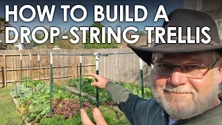 How to Build a String Trellis for Tomatoes and Cucumbers || Black Gumbo