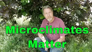 Understanding Microclimates - Change Climates in Your Garden