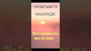 Это всё, что учитель может вам сказать. Нисаргадатта Махарадж #просветление #самопознание #человек