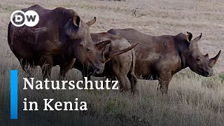 Kenia: Nachhaltiger Naturschutz in der Savanne | Global Ideas