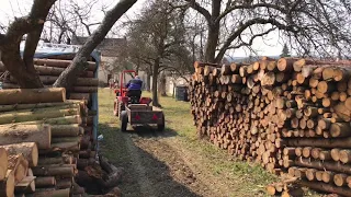Tahání dřeva s traktorem MT8-132.2