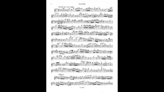 Mozart Flute Concerto in D - II Andante ma non troppo (Piano Accompaniment)