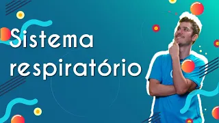 Sistema respiratório - Brasil Escola