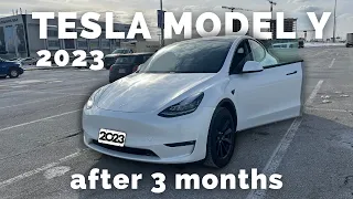 2023 TESLA MODEL Y TOUR AND REVIEW AFTER 3 MONTHS (and in winter)