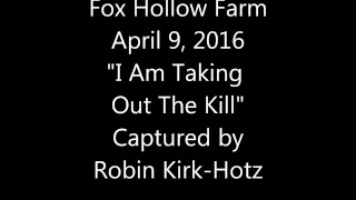 Fox Hollow Farms  Apr 9, 2016  I am taking out the kill