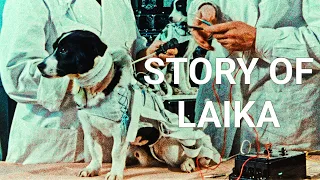 LAIKA The Space Dog | Sad Story | 🥺