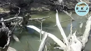 I missed so many bites! - Bait fishing on the Campaspe River (WARNING: NO FISH CAUGHT)