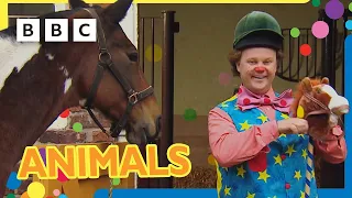 Mr Tumble Loves Animals! 🐴🦆🐶 |  +30 minutes | Mr Tumble and Friends