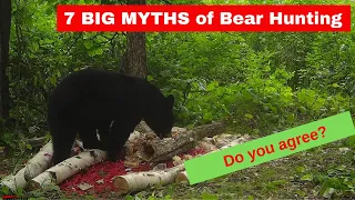 7 BIG MYTHS of bear hunting