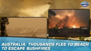 Australia: Thousands Flee To Beach To Escape Bushfires | Indus News